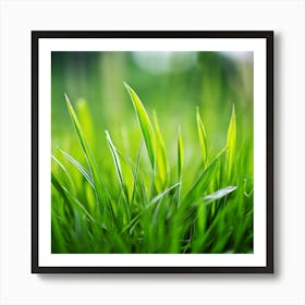 Grass Plant Texture Green Detail Nature Fresh Beautiful Summer Natural Spring Ecology Be (6) Art Print