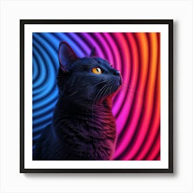 Black Cat On Colorful Background Art Print