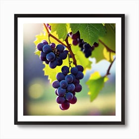 Grapes On The Vine 31 Art Print