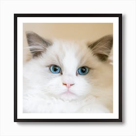 Blue Eyes Cat Art Print