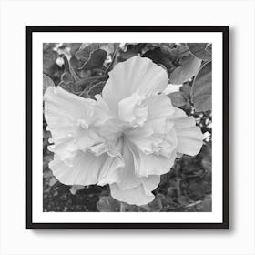 Balck and White Flower Art Print