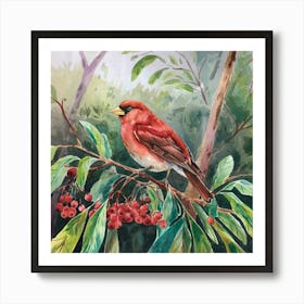 Red Cardinal Art Print