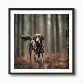 Dog In The Woods Art Print