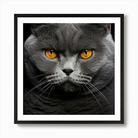 Whiskers in Focus: A Close-Up of a Cat's Face Art Print