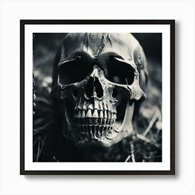 Skull In The Grass Art Print