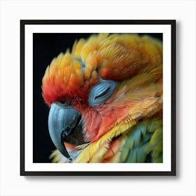 Colorful Parrot 20 Art Print