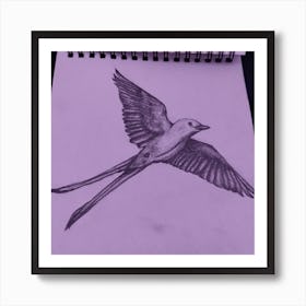 Scissortail In Flight Art Print