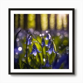 Dancing Light on Delicate Woodland Bluebells Art Print