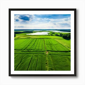 Grass Peace Air Structure Pasture Soy Bean High Country Rural Green Farm Overhead Natur (6) Art Print