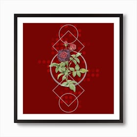 Vintage One Hundred Leaved Rose Botanical with Geometric Line Motif and Dot Pattern n.0324 Art Print