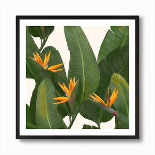 Tropical Flora Art Print