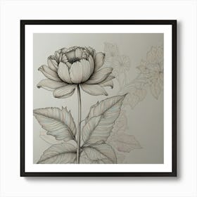 Peony Flower Art Print