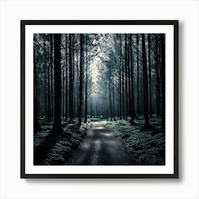 Firefly Dark And Moody Forest Deep Shadows And High Contrast For A Dramatic, Atmospheric Scene 3 Art Print