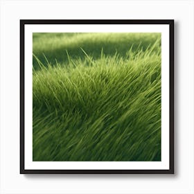 Green Grass 25 Art Print