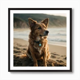 Dog On The Beach Art Print