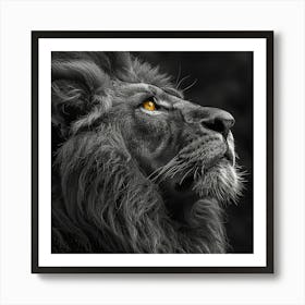 Black And White Lion Art Print