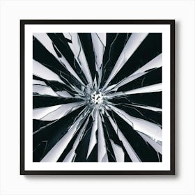 Black and White Abstract Art 189 Art Print