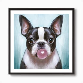 Boston Terrier With Bubblegum 3 Art Print