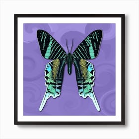 Mechanical Butterfly The Urania Leilus On A Purple Background Art Print