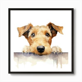 Irish Terrier 13 Art Print