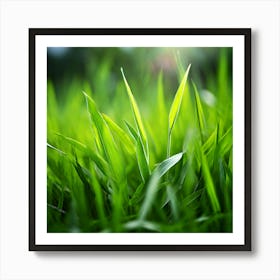 Grass Plant Texture Green Detail Nature Fresh Beautiful Summer Natural Spring Ecology Be (1) Art Print