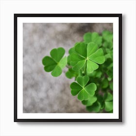 Four Leaf Clover 2 Art Print