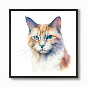 Lambkin Cat Portrait 3 Art Print