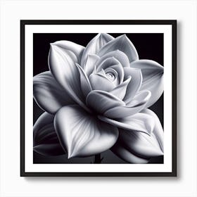 White Rose Art Print