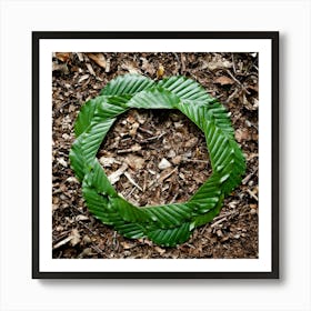 Circle Of Leaves Art Print