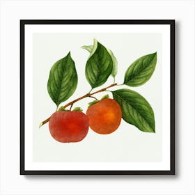 Peach Tree Art Print