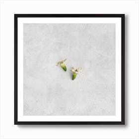 Tiny White Florals Square Art Print