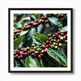 Coffee Beans On A Tree 20 Art Print