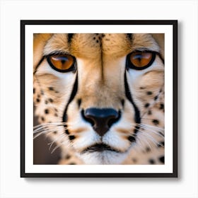 Cheetah Face Art Print