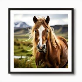 Grass Mane Head Equestrian Horse Rural White Iceland Nature Brown Field Mammal Pony Wil Art Print