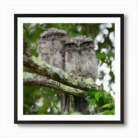 Two Owls Perched On A Branch Art Print