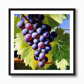 Grapes On The Vine 28 Art Print