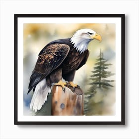 Watercolour Bald Eagle 2 Art Print