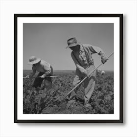 Nyssa, Oregon, Fsa (Farm Security Administration) Mobile Camp, Japanese American Farm Worker By Russell Lee Art Print