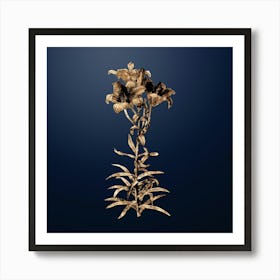 Gold Botanical Fire Lily on Midnight Navy n.1275 Art Print