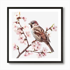 Sparrow In Cherry Blossoms 1 Art Print