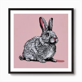 Rabbit On A Pink Background Art Print