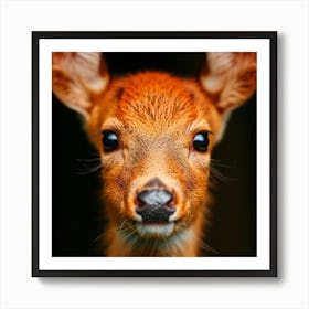 Close Up Of A Deer Art Print