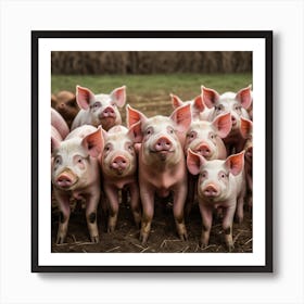 Pigs In A Field Art Print