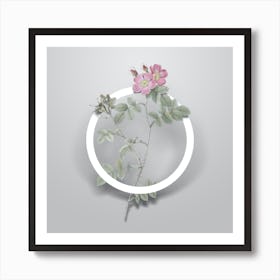 Vintage Pink Sweetbriar Roses Minimalist Flower Geometric Circle on Soft Gray Art Print