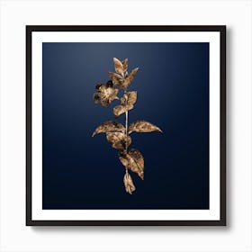 Gold Botanical Greater Periwinkle Flower on Midnight Navy n.2993 Art Print