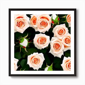 Roses Stock Videos & Royalty-Free Footage Art Print