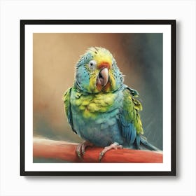 Parrot 26 Art Print