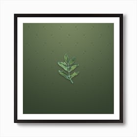 Vintage Buxus Colchica Twig Botanical on Lunar Green Pattern Art Print