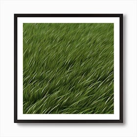 Green Grass 48 Art Print