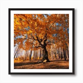 Autumn Tree In The Forest Art Print